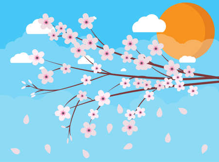 Sakura japan cherry branch with blooming flowers, blue sky background with clouds and sun. vector illustration in flat designのイラスト素材