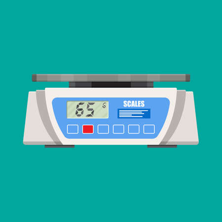 Digital kitchen scales. Vector illustration in flat styleのイラスト素材