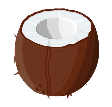 Ripe coconuts and half coconut on white.のイラスト素材