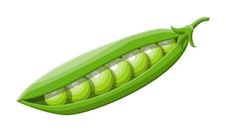Green peas isolated on white background.のイラスト素材