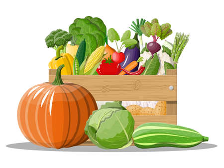 Wooden box full of vegetables. Onion, eggplant, cabbage, pepper, pumpkin, cucumber, tomato carrot and other vegetables. Organic healthy food. Vegetarian nutrition. Vector illustration in flat styleのイラスト素材