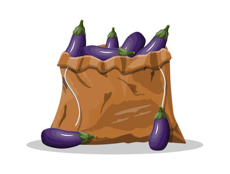 Fresh eggplant with green leaves in canvas bag. Eggplant isolated on white background. Organic healthy food. Vegetarian nutrition. Vector illustration in flat styleのイラスト素材
