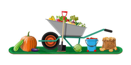 Garden harvest with vegetables and different gardening equipment, tools. Wheelbarrow shovel bucket. Organic healthy food. Fresh farming vegetables. Vector illustration flat styleのイラスト素材