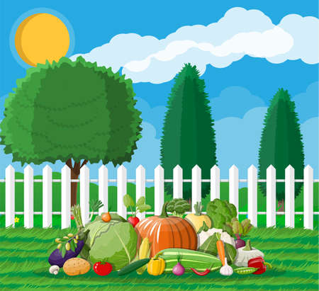 Garden harvest with vegetables. Wooden fence, trees, sun clouds, grass. Organic healthy food. Fresh farming vegetables. Vegetarian nutrition. Vector illustration in flat styleのイラスト素材