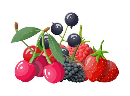 Berry icon set.のイラスト素材