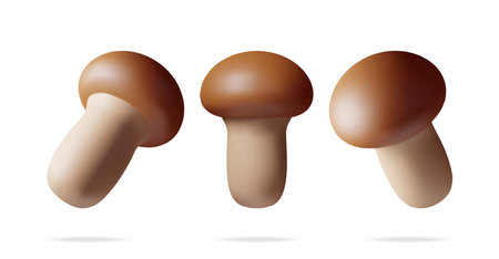3d Ripe Mushroom Champignon in Different Anglesのイラスト素材