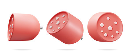 3D Slice of Ham or Sausage from Different Anglesのイラスト素材