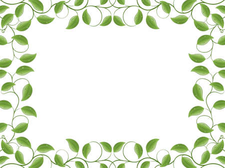 Floral frameのイラスト素材