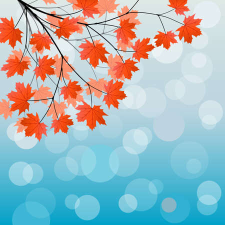 Autumn background with a maple branchのイラスト素材
