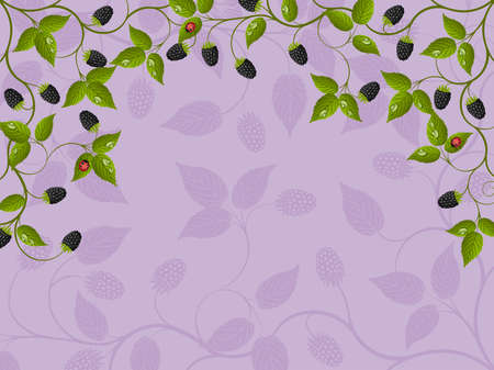 Floral background with a blackberryのイラスト素材