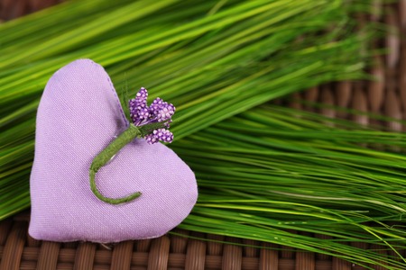 Lilac heart on green grassの写真素材