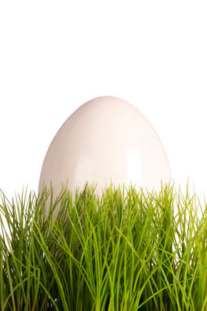 White easteregg in easter grassの写真素材