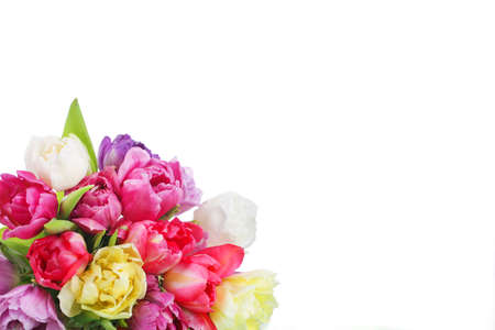 Bunch of pink tulips with copy spaceの写真素材