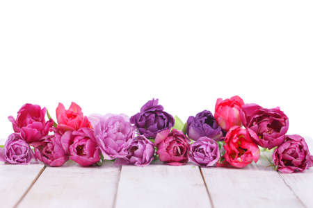 Pink tulips in a row on wooden boardの写真素材