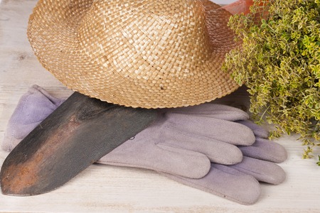 Straw hat, shovel, garden gloves and thyme for gardeningの写真素材
