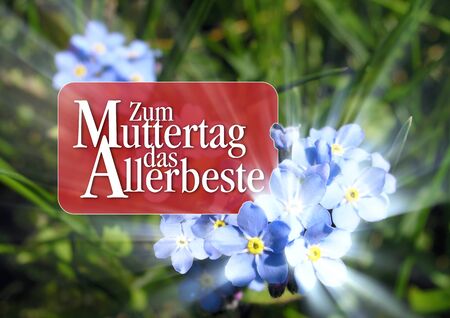 Mothers day greetings with blue flowerの写真素材