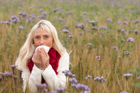 Matured woman with handkerchief  and allergy in a flower field blowing her noseの写真素材