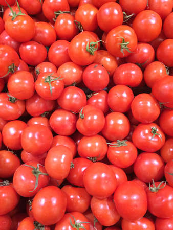Juicy group of Tomatosの写真素材