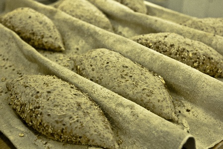baker bakery baking bread pastry flour bake Factory dough knead industry rye oatの写真素材