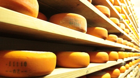Blue cheese gouda bread food parmesan swiss dairy healthy france milkの写真素材