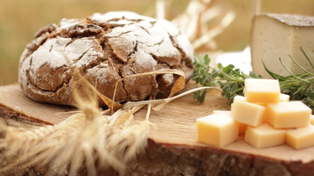 wine Blue cheese gouda bread grape food parmesan swiss dairy healthy france milkの写真素材