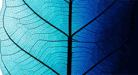 abstract blue background with a leaf pattern, texture of a leafのイラスト素材