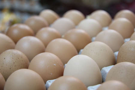 Chicken Egg in cardboard box.の写真素材