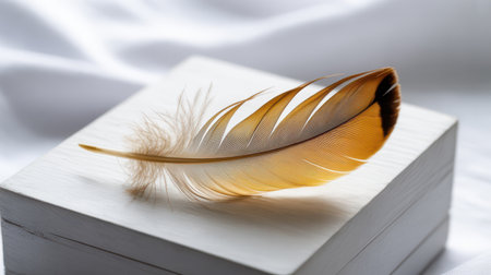 A single, delicate bird feather with golden brown hues and a dark tip rests on the surface of a simple white wooden box. The feather's soft barbs are clearly visible, contrasting with the smooth texture of the box. The composition is clean and minimalist, with soft lighting highlighting the details of the feather.の素材