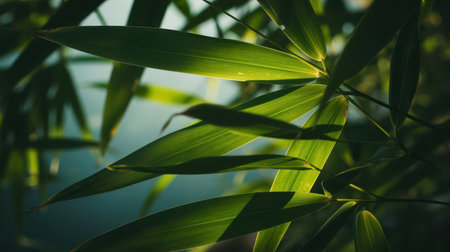 Sunlit green bamboo leaves with visible veins and shadows. Softly blurred blue and green background with bokeh highlights.の素材