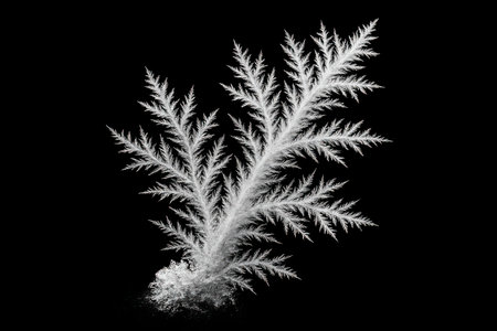 A detailed macro view of a white crystalline structure resembling a fractal or frost formation against a stark black background. The structure exhibits intricate, branching patterns with sharp, delicate edges, creating a high-contrast, minimalist composition.の素材