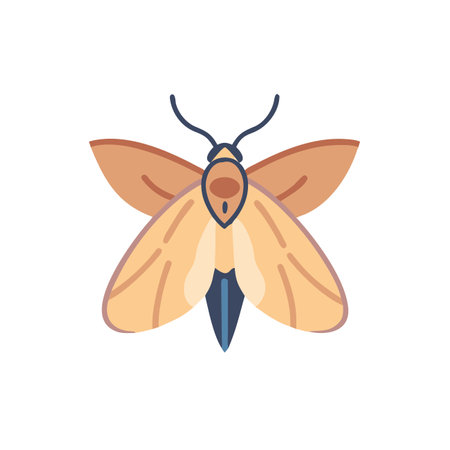 Butterfly flat color icon on white background for web design and mobile appのイラスト素材