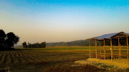 Beautiful Corn Field With Green Mountains In Backgroundの写真素材
