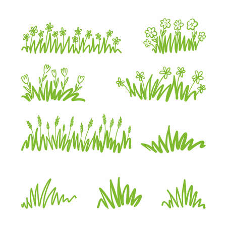 Collection of hand-drawn grass drawings with flowersのイラスト素材