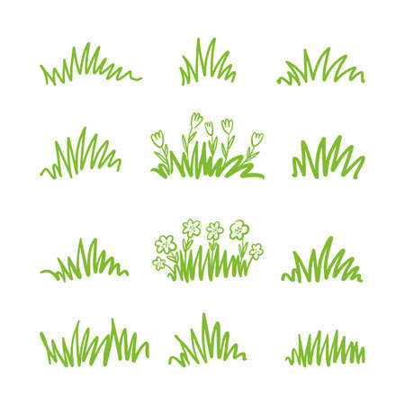 Collection of hand-drawn grass drawings with flowersのイラスト素材