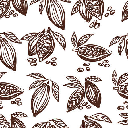 Vector pattern with cocoa beans drawn by handのイラスト素材