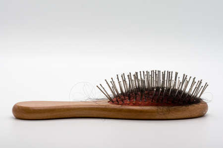 Comb and hair fall isolated on white background.の写真素材