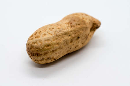 Dry peanut isoloated on white background.の写真素材