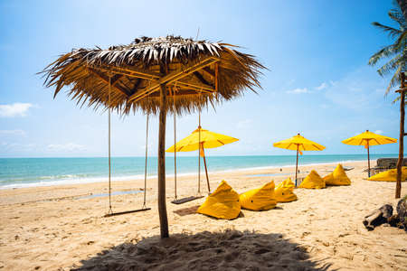 Yellow umbrella with yellow beach chairs on the beach with brown sand, blue sea water, clear blue sky and coconut trees in background.の写真素材