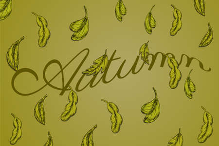 Autumn leaves illustration falling from tree vector illustrationのイラスト素材