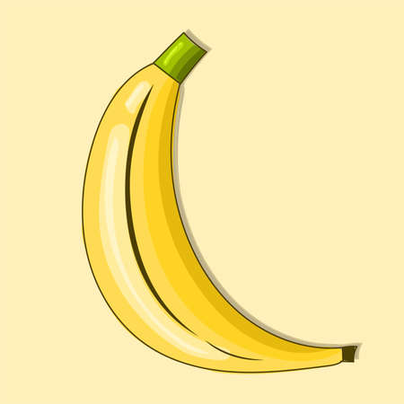 Yellow banana illustration fresh fruit vector eps isolatedのイラスト素材