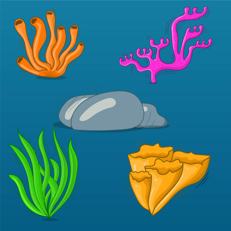 Coral set illustration. coral sea weed collection. coral reef isolated vector cartoonのイラスト素材