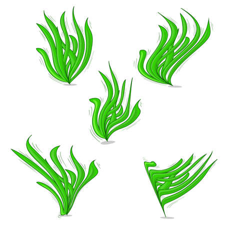 Coral set illustration. coral sea weed collection. coral reef isolated vector cartoonのイラスト素材