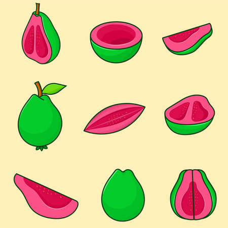 Set of green guava illustration isolated with outline style bundle for website icon, symbol, food graphic elementのイラスト素材