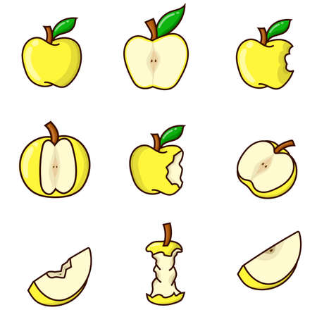 Yellow apple set bundle isolated vector illustration.のイラスト素材
