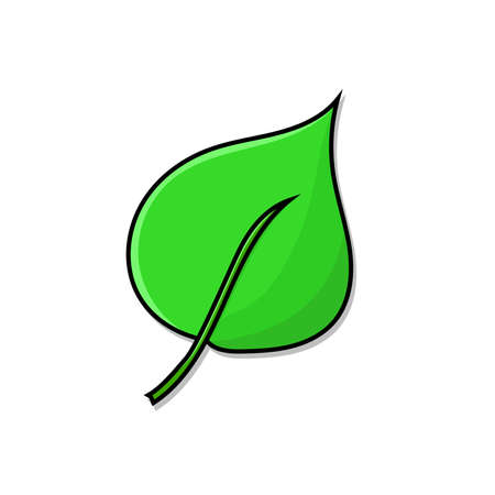 Green leaf isolated vector illustration with outline and shadow.のイラスト素材