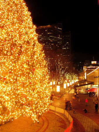  Quincy Christmas Tree                  のeditorial素材