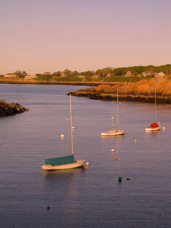 closed sailboats resting in the water の写真素材