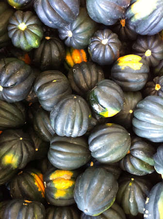 Squash background の素材