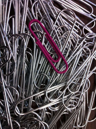 Pink clip between sliver ones の素材