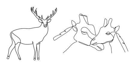 deer continuous line drawing, vector illustration, isolated on white backgroundの写真素材